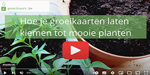 Instructievideo hoe groeikaarten te planten